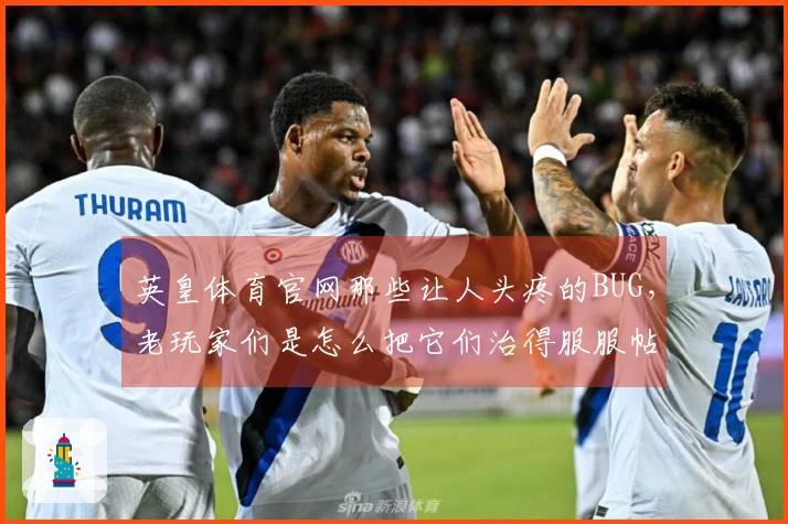 英皇体育官网那些让人头疼的BUG，老玩家们是怎么把它们治得服服帖帖的？