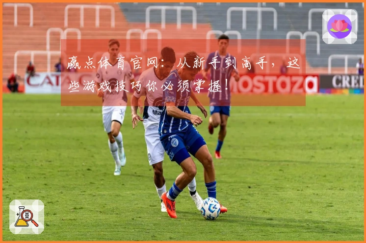 赢点体育官网：从新手到高手，这些游戏技巧你必须掌握！