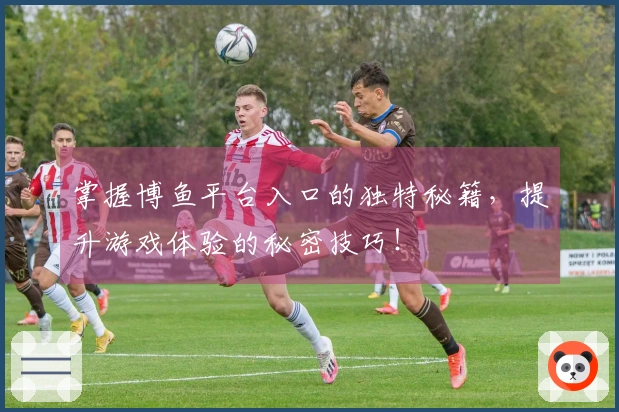 掌握博鱼平台入口的独特秘籍，提升游戏体验的秘密技巧！