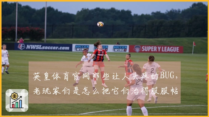 英皇体育官网那些让人头疼的BUG，老玩家们是怎么把它们治得服服帖帖的？