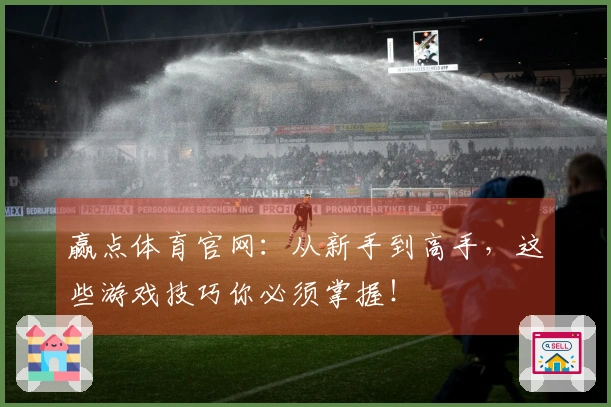赢点体育官网：从新手到高手，这些游戏技巧你必须掌握！