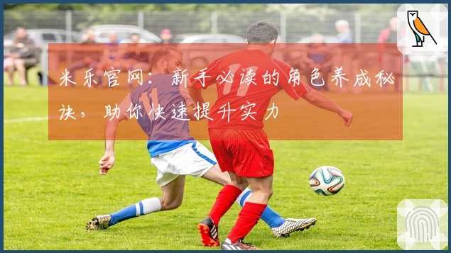 米乐官网：新手必读的角色养成秘诀，助你快速提升实力