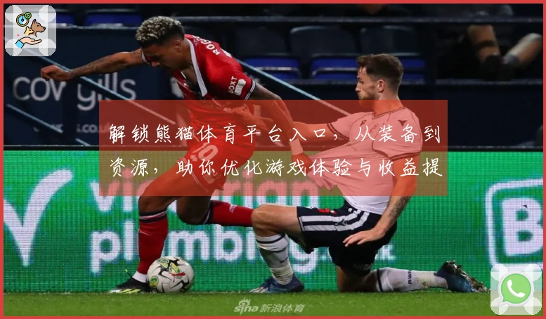解锁熊猫体育平台入口，从装备到资源，助你优化游戏体验与收益提升
