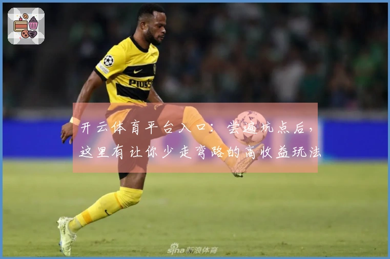 开云体育平台入口：尝遍坑点后，这里有让你少走弯路的高收益玩法新篇章